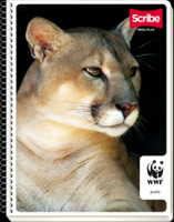 /album/linea-de-cuadernos/scribe-mega-png/