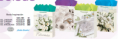 /album/bolsas-de-regalo/boda-png/